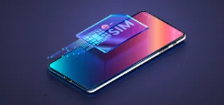 eSIM/物理SIM